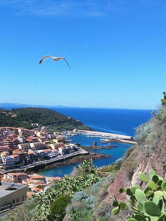 Appartamento A Domo Mia Castelsardo